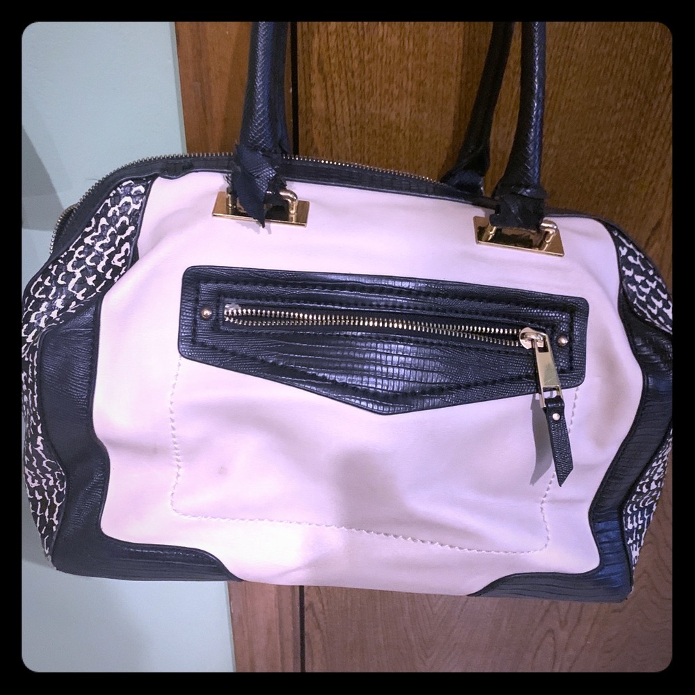 Aldo purse